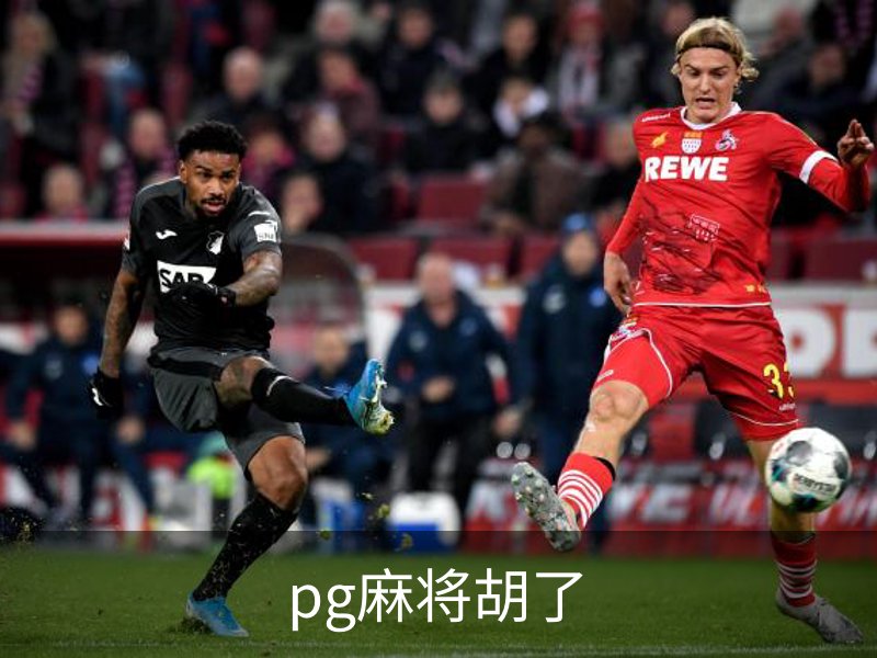 了解pg麻将胡了
